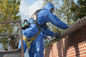 How much does asbestos removal cost in 2025