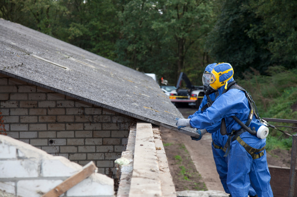 How much does asbestos removal cost in 2025